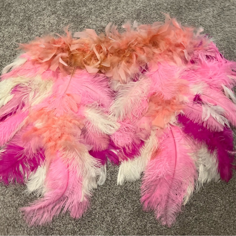 Vibrant Feather Adult Angel Wings